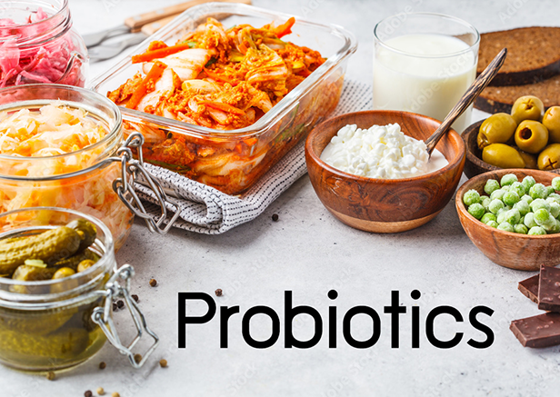 005 - Probiotics & Prebiotics